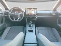 Nuevo Seat Leon FR 150 CV (110 kW) 2026 Rojo