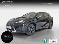 Usado Lexus UX 300h 199 CV (146 kW) 2025 Negro SUV