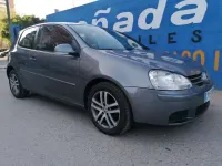 Usado VW Golf IV Trendline 102 CV (75 kW) 2006 Gris Utilitario