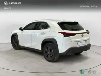 Usado Lexus UX 300h 2026 Blanco SUV