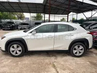 Usado Lexus UX Executive Line 184 CV (135 kW) 2022 Blanco SUV