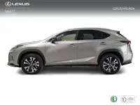 Usado Lexus NX300h 197 CV (144 kW) 2021 Gris / plata SUV