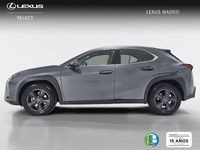 Usado Lexus UX 199 CV (146 kW) 2025 Gris SUV
