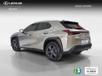 Usado Lexus UX 300h 199 CV (146 kW) 2025 Plateado SUV