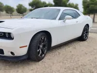 Usado Dodge Challenger SXT 303 CV (222 kW) 2021 Blanco Coupe