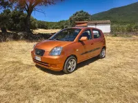 Usado Kia Picanto LX 65 CV (47 kW) 2005 Naranja Utilitario