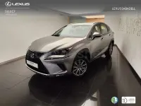 Usado Lexus NX300h Business Edition 197 CV (144 kW) 2018 Gris / plata SUV