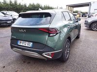 Usado Kia Sportage 152 CV (111 kW) 2023 Verde SUV