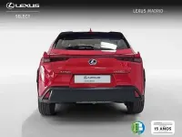 Usado Lexus UX Business Edition 183 CV (134 kW) 2020 Rojo SUV