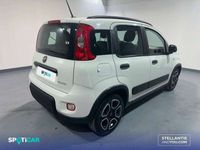 usado Fiat Panda 1.0 Gse City Live Hybrid
