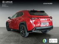 Imagen 2