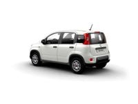 Usado Fiat Panda 69 CV (50 kW) 2023 Blanco Utilitario