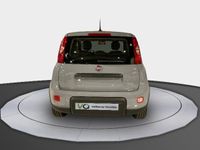 usado Fiat Panda -1.0 MHEV S/S 70CV 5P