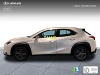 usado Lexus UX 2.0 250h Business