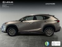 usado Lexus NX300 300h Business 2WD