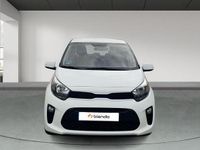 Usado Kia Picanto 67 CV (49 kW) 2024 Blanco Utilitario