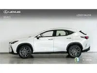 Usado Lexus NX350h 244 CV (179 kW) 2024 Blanco