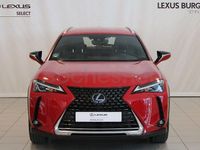 Usado Lexus UX Business Edition 184 CV (135 kW) 2021 Rojo SUV