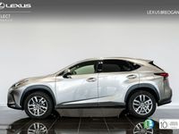 usado Lexus NX300h EXECUTIVE NAVIGATION