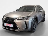 Usado Lexus UX 250h Business Edition 184 CV (135 kW) 2022 Otro SUV