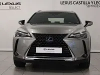 Usado Lexus UX 250h 184 CV (135 kW) 2021 Gris SUV