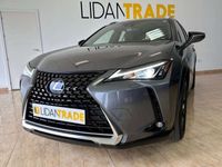 usado Lexus UX 250h Business 2WD