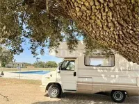 Usado Fiat Ducato 102 CV (75 kW) 1990 Beige Van