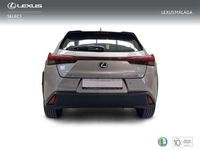 Usado Lexus UX 250h Business Edition 184 CV (135 kW) 2023 Gris SUV