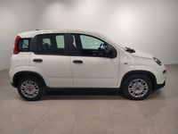 Usado Fiat Panda 70 CV (51 kW) 2024 Blanco Utilitario