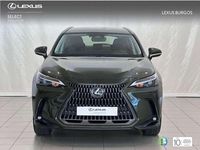 Usado Lexus NX350h 243 CV (178 kW) 2025 Verde SUV