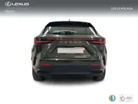 Nuevo Lexus NX350h 242 CV (177 kW) 2026 Verde SUV