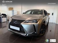 Usado Lexus UX 250h Business Edition 184 CV (135 kW) 2021 Plateado SUV