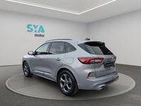 Usado Ford Kuga ST-Line 190 CV (139 kW) 2024 Gris SUV