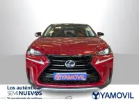 Usado Lexus NX300h Sport Line 197 CV (144 kW) 2017 Rojo SUV