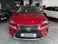 Usado Lexus NX300h Business Edition 197 CV (144 kW) 2019 Rojo SUV