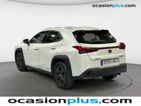 usado Lexus UX 2.0 250h Executive Plus