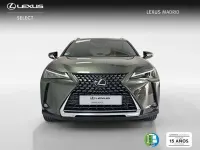 Usado Lexus UX 250h 184 CV (135 kW) 2024 Verde SUV