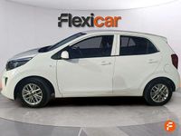 Usado Kia Picanto 67 CV (49 kW) 2023 Blanco Utilitario