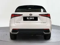 Usado Lexus NX300h Business Edition 197 CV (144 kW) 2020 SUV