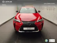 Usado Lexus UX 199 CV (146 kW) 2024 Rojo SUV