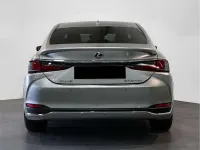 Usado Lexus ES300 218 CV (160 kW) 2022 Berlina