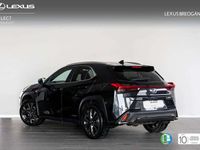 usado Lexus UX 250h F - SPORT