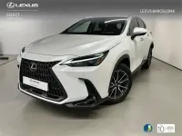 Usado Lexus NX450h+ 292 CV (214 kW) 2026 Blanco SUV