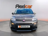 Usado Fiat Panda Cross Cross 71 CV (52 kW) 2023 Gris Utilitario