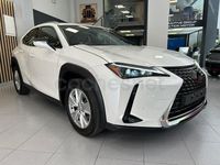 Usado Lexus UX Business Edition 184 CV (135 kW) 2022 Blanco SUV