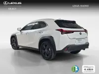 Usado Lexus UX 199 CV (146 kW) 2025 Blanco SUV