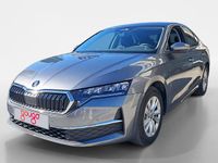 Usado Skoda Octavia 116 CV (85 kW) 2025 Berlina