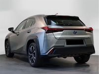 usado Lexus UX 250h Lury 2wd