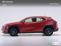 usado Lexus UX 250h BUSINESS AUTO 2.0 184 5P