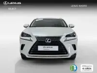 Usado Lexus NX300h Business Edition 197 CV (144 kW) 2019 Blanco SUV